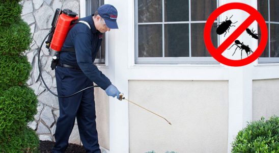 Çaycuma Karınca İlaçlama böcek ilaçlama ve haşere kontrolü — ilaclama-tr.com